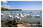 Фото из тура Лазурные берега!, 09 июня 2012 от туриста Николаев