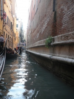 Фото з туру Італія - країна натхнення! Мілан, Флоренція, Рим та Венеція!, 14 травня 2011 від туриста Светик
