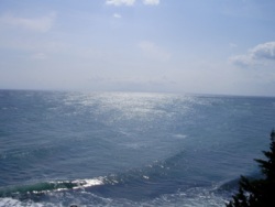 Фото из тура SPO: Морская сказка… Болгария!!!, 20 сентября 2011 от туриста Reivell
