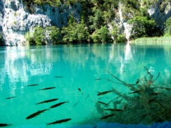 Фото з туру Спокуслива Хорватія!!! … така близька, і така чарівна…, 25 серпня 2012 від туриста Dasha