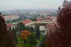 Фото з туру Любов і голуби… Париж, Франкфурт, Дрезден і Прага!!!, 13 жовтня 2012 від туриста ОляЛя