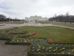 Фото з туру Європейська прогулянка! Краків, Мюнхен, замок Нойшванштайн і Відень!, 17 березня 2013 від туриста вика