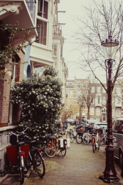Фото з туру Пікнічок в Амстердамі , 19 січня 2014 від туриста Юля Депеш