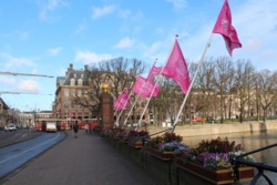 Фото з туру Пікнічок в Амстердамі , 02 лютого 2014 від туриста Людмила