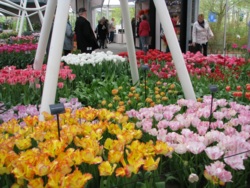 Фото з туру Париж, квіти..... і Компліменти! Амстердам, Брюссель, Париж, Люксембург, Кельн, 07 квітня 2014 від туриста Ата