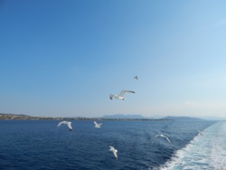 Фото из тура Под флагом Греции... Салоники + Метеоры + Афины + Дельфы, 08 июня 2014 от туриста Зміючка-Оленка