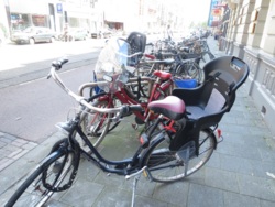 Фото из тура Пикничок в Амстердаме , 13 июля 2014 от туриста олечка