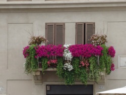 Фото з туру Вона зводить з розуму… Красуня Італія! + Сицилія та Мальта, 22 липня 2014 від туриста olga-zavalnjuk