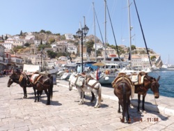Фото из тура Летние впечатления о Греции: отдых на Ионическом и Эгейском морях, 06 августа 2014 от туриста Alexandra