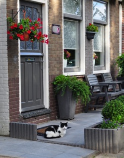 Фото з туру Вітаю, милий Амстердам!, 10 серпня 2014 від туриста applegreen