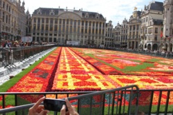 Фото из тура Париж, цветы... и Комплименты! Амстердам, Брюссель, Париж, Люксембург, Кельн, 12 августа 2014 от туриста tina