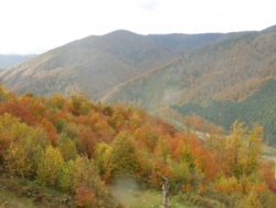 Фото из тура Свежесть родников Закарпатья, 13 октября 2014 от туриста Н74