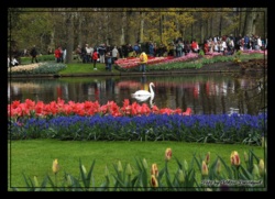 Фото з туру Вікенд в Амстердамі + Берлін та Прага!, 18 квітня 2012 від туриста Виктор