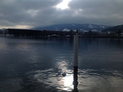 Фото з туру I ♥ Switzerland!, 01 лютого 2015 від туриста Тани