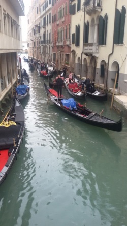 Фото из тура Чарующий Рим! Венеция, Флоренция и Неаполь, 25 апреля 2015 от туриста flower