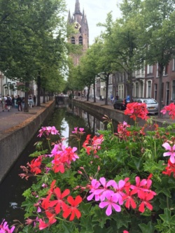 Фото з туру Жага пригод Амстердам, Париж + Діснейленд, 08 серпня 2015 від туриста юрий