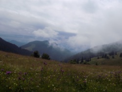 Фото из тура А над Говерлой - облака!, 27 июля 2015 от туриста MargaritaGor