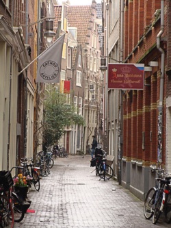 Фото из тура Амстердам и Париж…  зажег и привлек…, 23 марта 2015 от туриста levarry