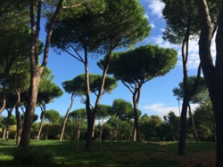 Фото из тура Секрет вечности... Рим + Верона, Сан-Марино и Венеция, 11 октября 2015 от туриста Аннэт