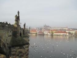 Фото з туру Празьке дежавю  Прага та Відень, 05 листопада 2015 від туриста klana5