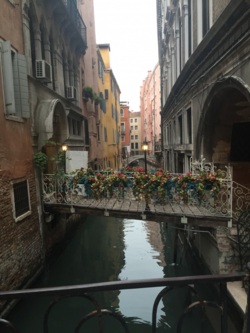 Фото из тура Знакомство с Казанова! Вена+Верона+Венеция, 15 ноября 2015 от туриста Katrin