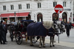 Фото з туру Прекрасна венеціанка! Відень, Верона і Будапешт!, 22 вересня 2015 від туриста Alena