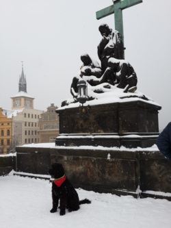 Фото з туру Столичний вікенд: Варшава, Берлін, Дрезден, Прага, Краків!, 03 січня 2016 від туриста Nereler