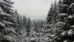 Фото из тура Неделька снежного драйва, 13 февраля 2016 от туриста Катруся
