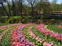 Фото из тура Королевские лучики - БеНиЛюкс: Нидерланды + Бельгия + Люксембург!!!, 27 апреля 2012 от туриста Турист