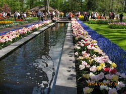 Фото з туру Королівські промінчики - БеНіЛюкс: Нідерланди + Бельгія + Люксембург!!!, 27 квітня 2012 від туриста Турист