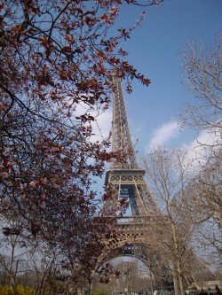 Фото из тура Французский Каприз   4 дня в Париже + Нормандия, долина Луары, Мон-Сен-Мишель!, 06 марта 2016 от туриста СветЛана