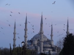 Фото з туру Загадковий Стамбул, 27 березня 2016 від туриста Mila