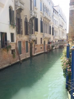 Фото из тура Рим! Все только начинается… Флоренция + Венеция, 17 апреля 2016 от туриста Daniel