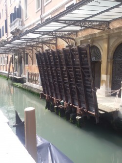 Фото из тура Рим! Все только начинается… Флоренция + Венеция, 17 апреля 2016 от туриста Daniel