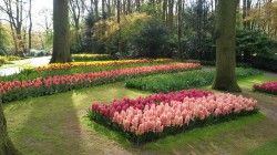Фото из тура Счастливый Случай… Амстердам, Париж, Брюссель и Люксембург, 25 апреля 2016 от туриста flower
