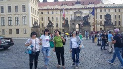 Фото из тура Пражское дежавю  Прага и Вена, 17 июня 2016 от туриста Натали