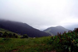 Фото из тура А над Говерлой - облака!, 26 июня 2016 от туриста Nikato