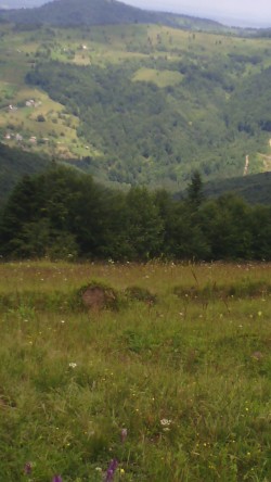 Фото з туру Карпатських гір передзвін, 02 липня 2016 від туриста Вікторія