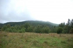 Фото з туру Карпатських гір передзвін, 21 серпня 2016 від туриста Luda1975