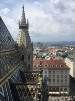 Фото з туру Під звуки музики! Відень, Зальцбург та Будапешт, 23 липня 2016 від туриста S.L.