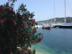 Фото из тура Музыка прибоя: Отдых на Эгейском море Греции!, 17 июля 2015 от туриста Наталі