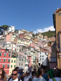 Фото з туру Про Тоскану… зі смаком:Лукка, Сієна, Сан Джиміньяно, Флоренція, 04 вересня 2016 від туриста таня