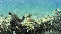 Фото из тура Сиеста у греков: отдых на Эгейском море + Охридское озеро + Белград, 07 сентября 2016 от туриста tantey