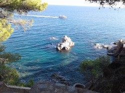 Фото з туру Літня відпустка під іспанськими вітрилами Відпочинок на морі, 24 вересня 2016 від туриста lora