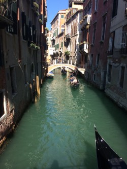 Фото з туру Рим! Все тільки починається… Флоренція + Венеція, 02 жовтня 2016 від туриста СВ