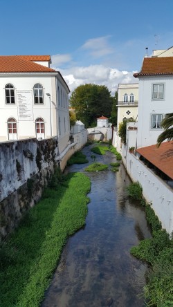 Фото з туру Великі відкриття - Португалія, 08 жовтня 2016 від туриста Наталья