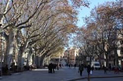 Фото з туру Кастаньєти іспанського серця 3 дні в Барселоні, 27 грудня 2016 від туриста Antonina