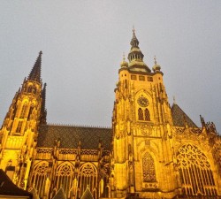 Фото из тура Новогоднее путешествие в Прагу, 29 декабря 2016 от туриста adema