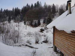 Фото из тура Свежесть родников Закарпатья… зимнее настроение, 31 декабря 2016 от туриста Яна