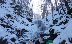 Фото из тура Свежесть родников Закарпатья… зимнее настроение, 31 декабря 2016 от туриста Игорь